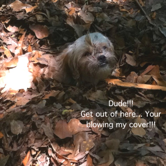 Your blowing my cover!