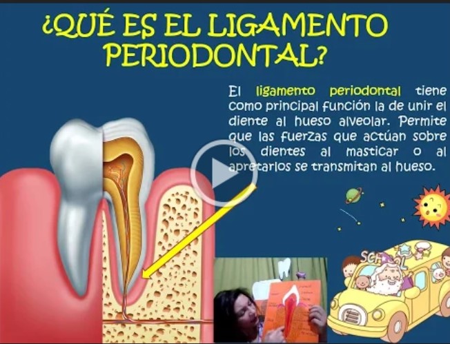 MÓDULO DENTAL