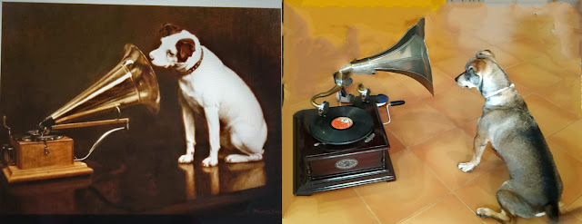  "Nipper", el perrito de la RCA. #retoBUMU