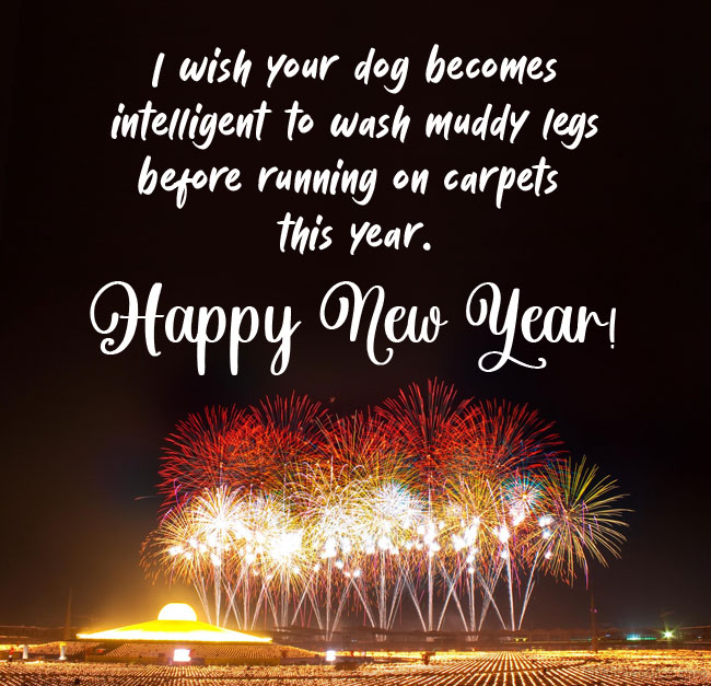 Funny New Year Wishes