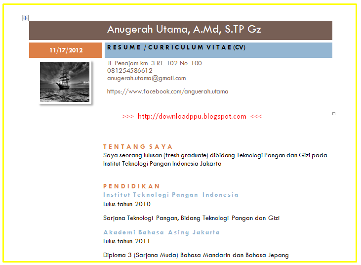 (Baru) Download Contoh Resume CV (Curiculum Vitae/ Riwayat 
