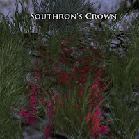 Southron's Crown