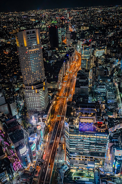 Shibuya Sky 渋谷スカイ で大迫力の東京夜景を撮影してきた Camerife