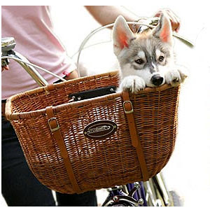 Wicker Cruiser Pet Bicycle Basket