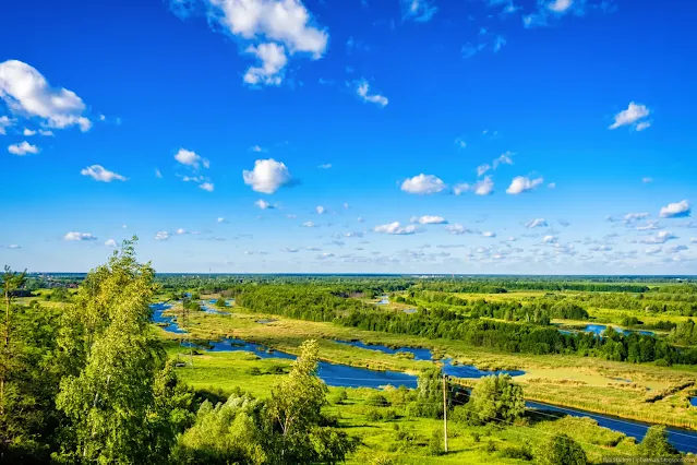 Панорама заболоченных лугов летом