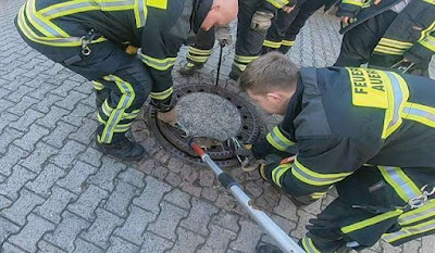 Fat Rat Gets Rescued By Firefighter After Being Stuck In Sewer Grate And Waiting For Help In Vain