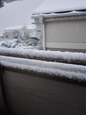 20180122の雪（横浜市）