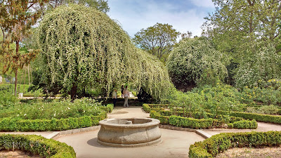 Real Jardín Botánico - Madrid