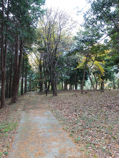 むきばんだ史跡公園の弥生の森の遊歩道