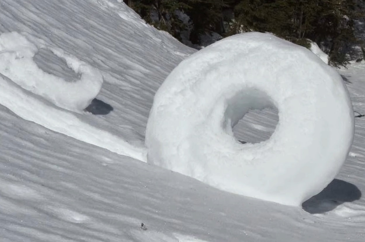 What Are Frost Flower And Snow Rollers? How Do They Form?
