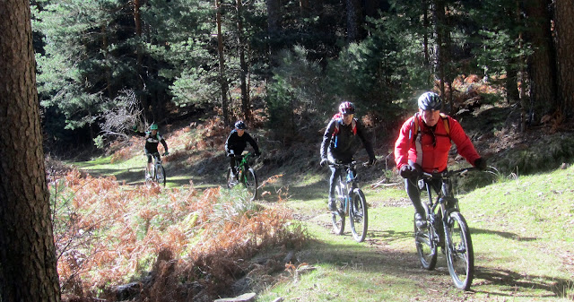 MTB AlfonsoyAmigos