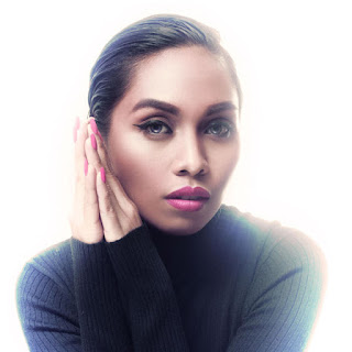 Dayang Nurfaizah - Tak Pernah Menyerah MP3