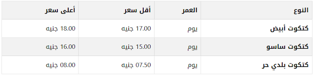 اسعار الكتاكيت اليوم