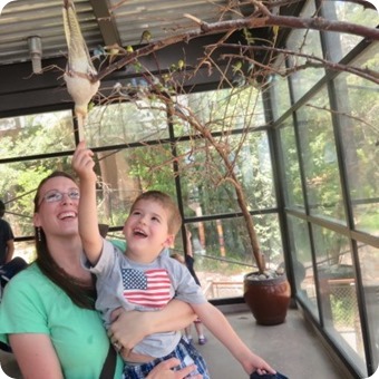 Budgie Buddies Seed Stick Birds at Cheyenne Mountain Zoo