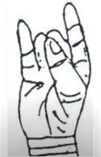 Digestion Mudra