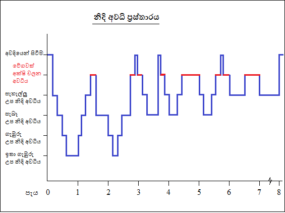 නිදි අවධි ප්‍රස්තාරය