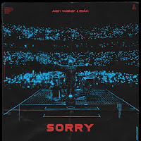 Alan Walker - Sorry (feat. ISÁK) - Single [iTunes Plus AAC M4A]