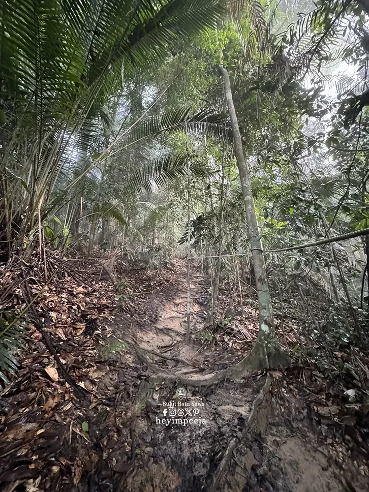 Hiking Bukit Batu Sawa