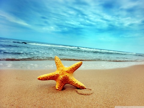 9-starfish-sea-beach-sand-wallpaper.1440