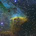 Nebulosa Pelícano 