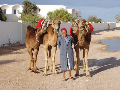 Africa Tunisia