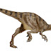 (Proceratosaurus)