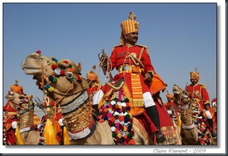 landof_maharajas_Funzug.org_08