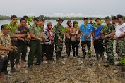 Aksi Tanam Mangrove di Pantai Linggi Simeulue