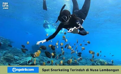 Spot Snorkeling Terindah di Nusa Lembongan
