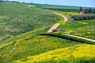 the road to arbel cliff