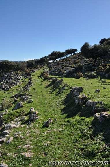 Calzada de Villaluenga a Grazalema