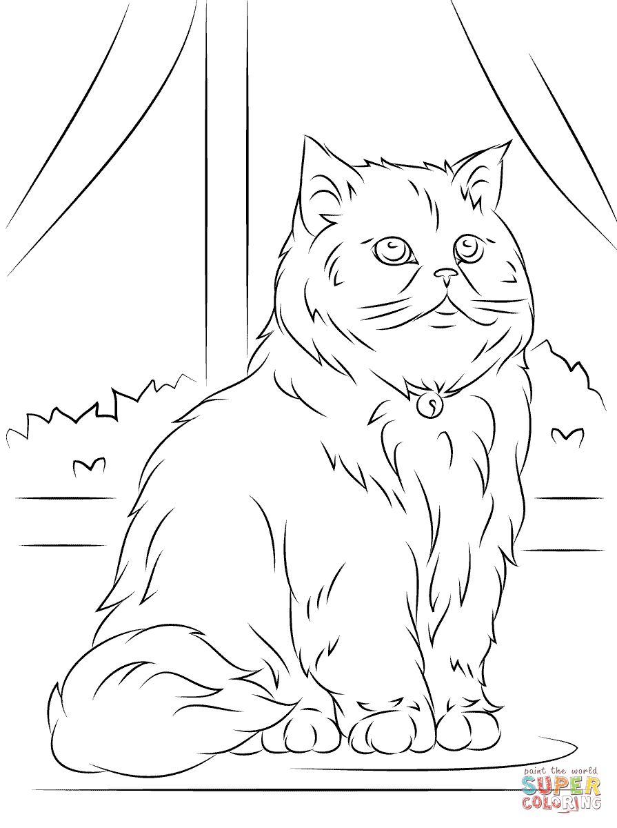  Gambar  Animasi Kucing  Untuk Mewarnai Warna  Warni  Gambar 