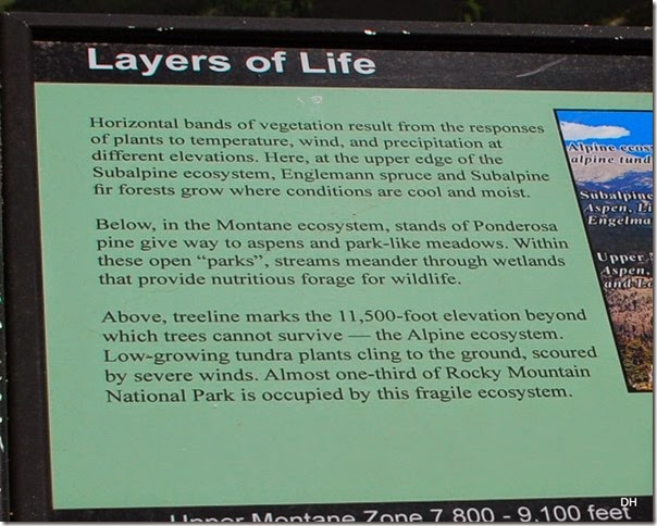 06-19-14 A Trail Ridge Road RMNP (60)a