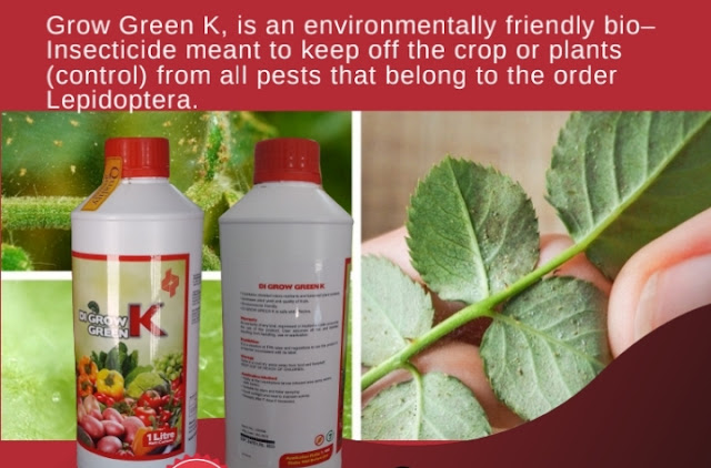 DI Grow K insectise