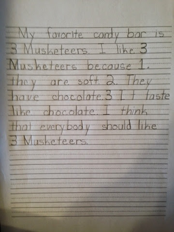 candy essay