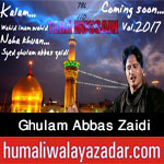 http://www.humaliwalayazadar.com/2017/09/syed-ghulam-abbas-zaidi-nohay-2018.html