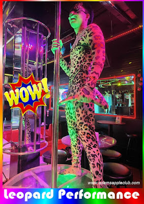 Leopard Performance Chiang Mai Gay Nightclub