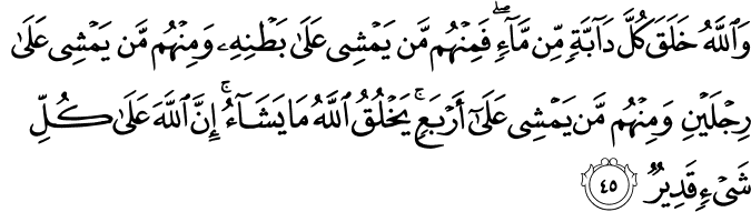 Surat An Nur ayat 45