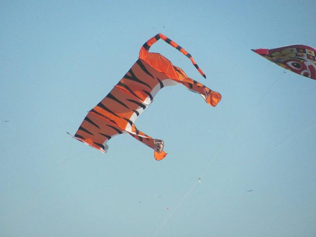 International Kite Festival 2011 - Ahmedabad, India