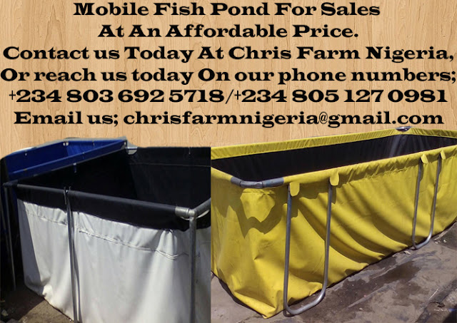 Collapsible Mobile Fish Pond For Sale In Nigeria (TARPAULIN MOBILE FISH POND)