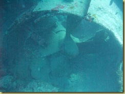 Propellor