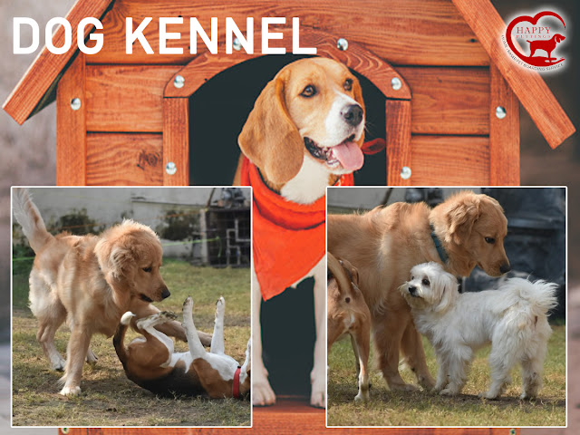 Dog Kennel Gurgaon