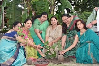 Smt geeta pushkar dhaani planted tree
