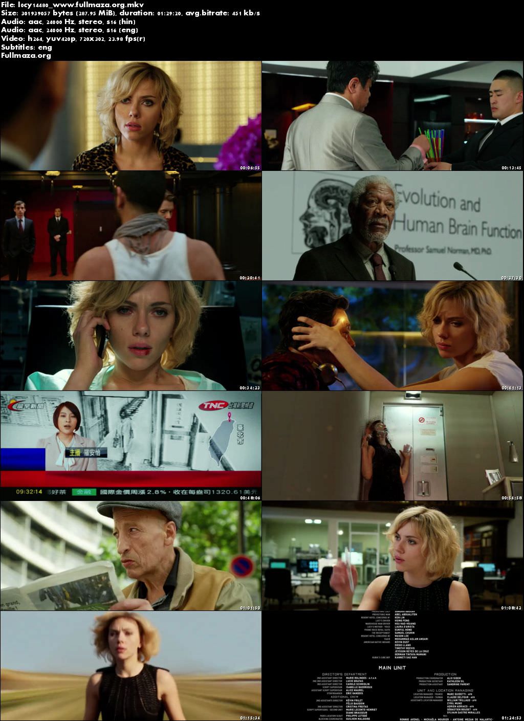 Lucy (2014) Hindi Dual Audio 480p BluRay 300MB 