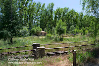 Añon de Moncayo Moncayo Sendero AG-3 Usos Tradicionales