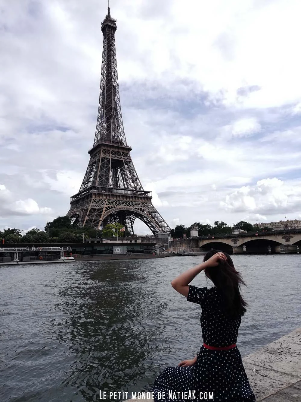 Quaie de la Seine, vue sur  la tour Eiffel