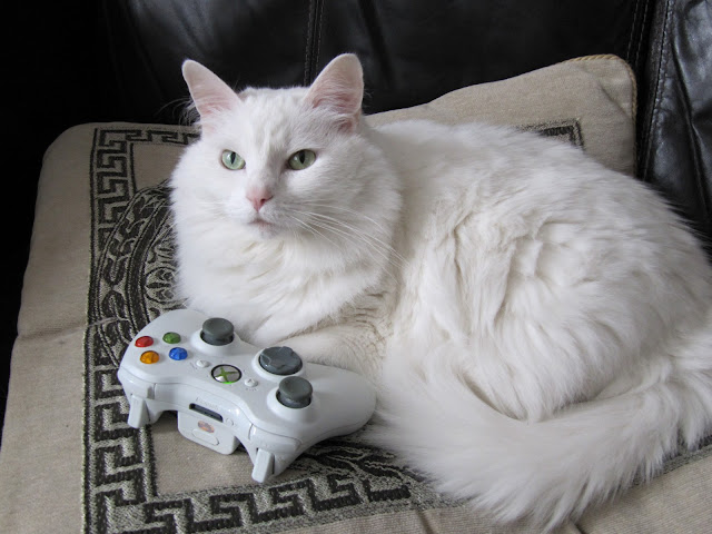 She's Playing Xbox! by BrotherMagneto from flickr (CC-NC)