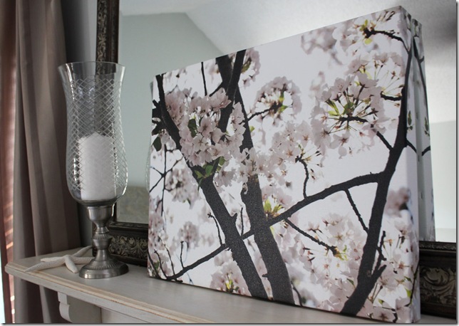 canvas