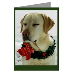 Christmas Wishes Cards