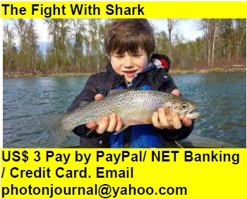  The Fight With Shark Book Store Hyatt Book Store Amazon Books eBay Book  Book Store Book Fair Book Exhibition Sell your Book Book Copyright Book Royalty Book ISBN Book Barcode How to Self Book 